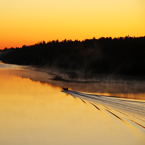 On The Move At Sunrise 