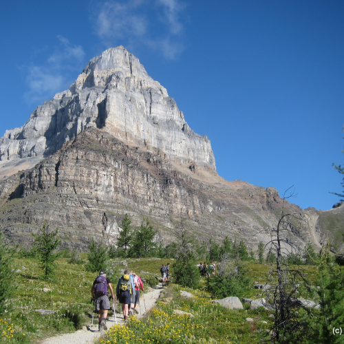 Mt Temple, Sentinel Pass & Paradise Valley hike