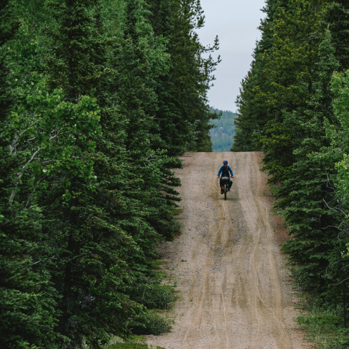 Country Roads