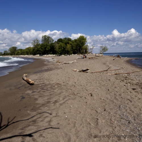 A view from the tip of Point Pelee