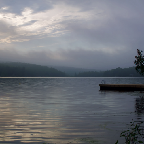 Mist