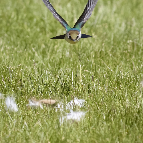 On approach