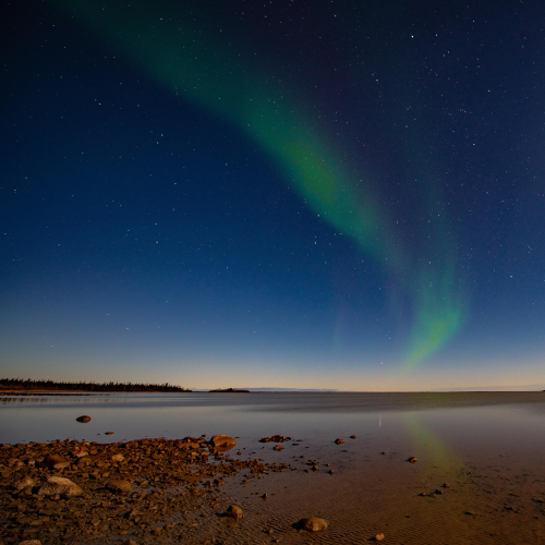 Aurora