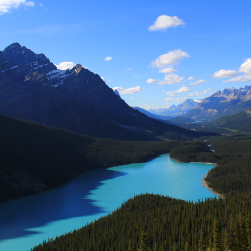 Peyto Lake