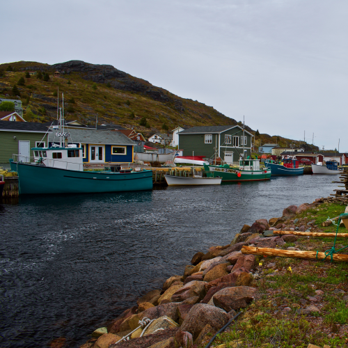 Petty harbour NL