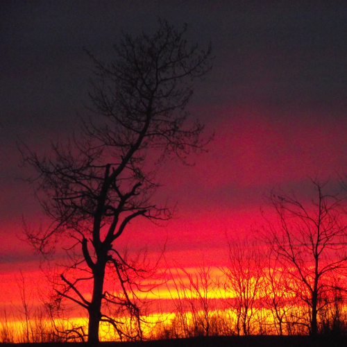 coucher du soleil 