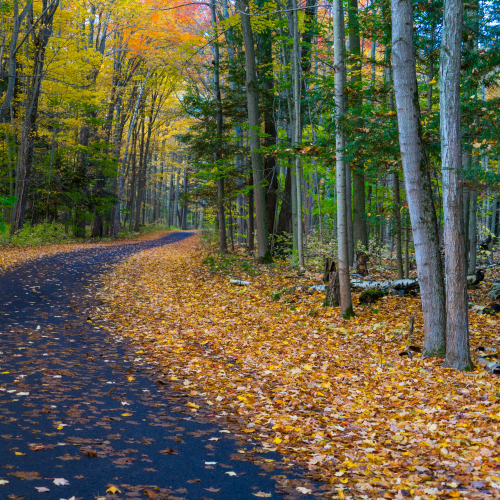 The fall road