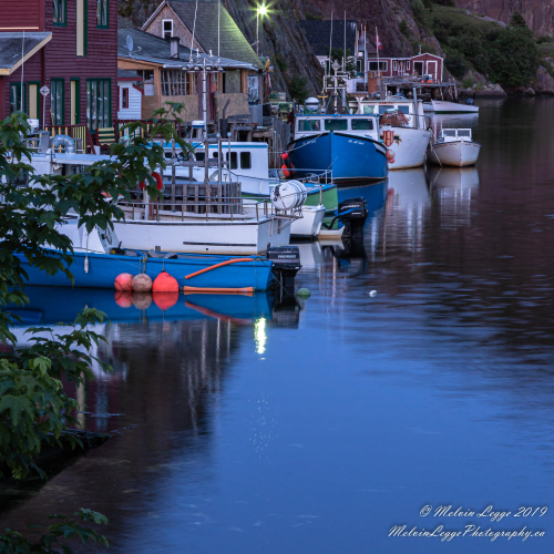 Quidi Vidi Evening