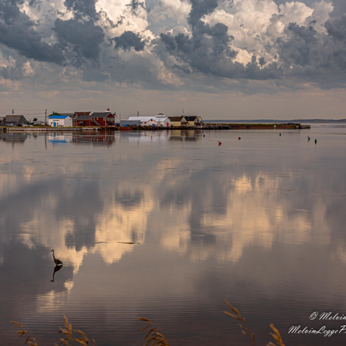 After the Storm
