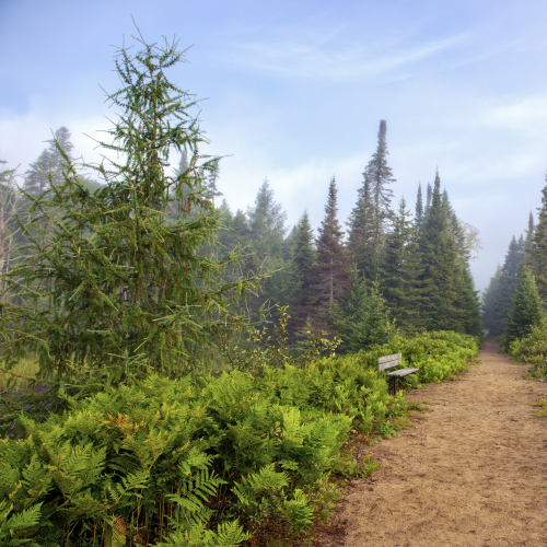 Ontario Parks