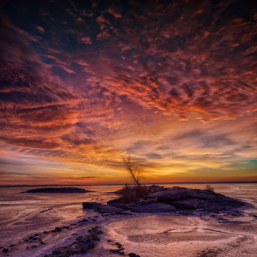 Winters wild color 