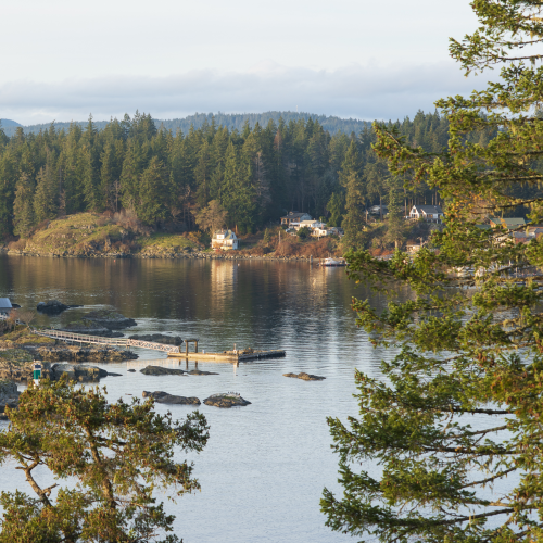 Quathiaski Cove from the bluffs to the southwest
