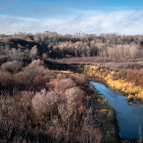 Beaver Creek