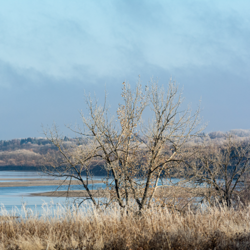 The river