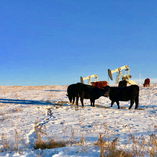 Alberta