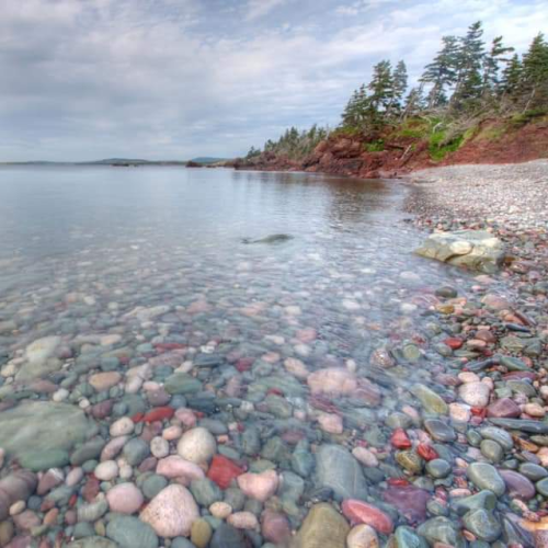 Georgeâ€™s cove jellybean beach