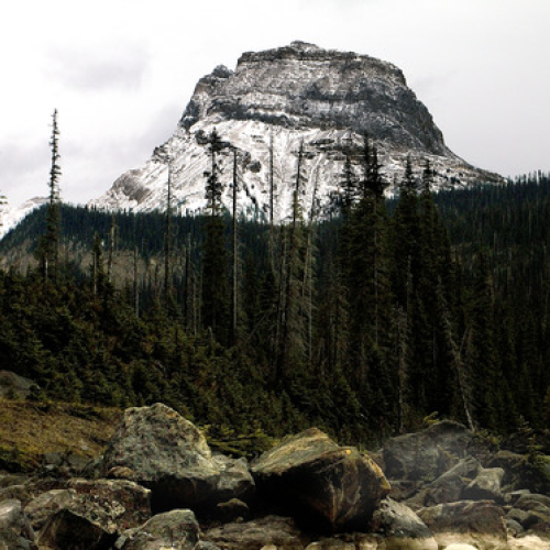 Mountain