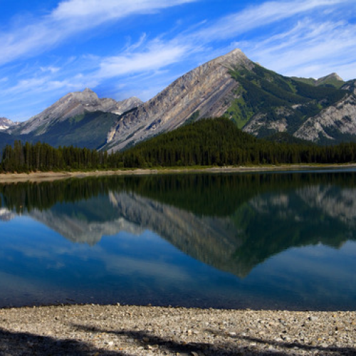 mirroring