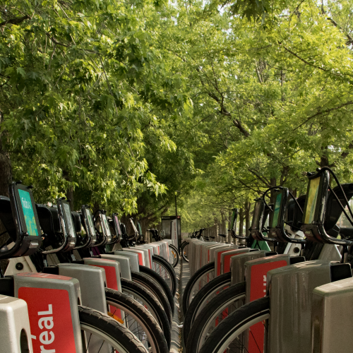 Bike Park
