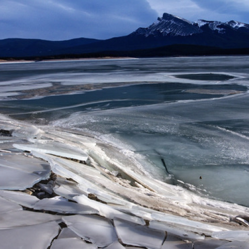 Abraham Lake 