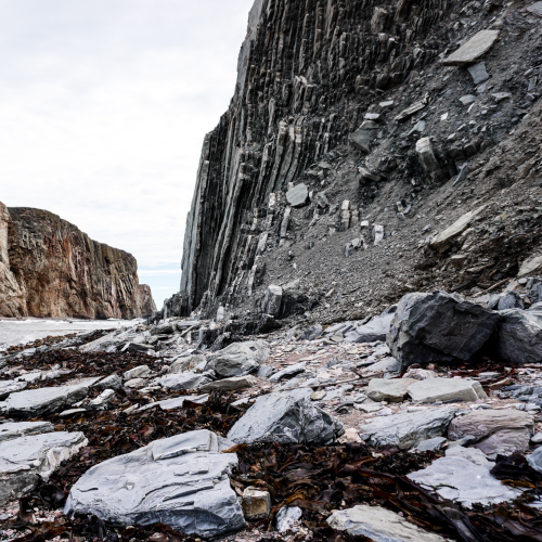 The many textures of PercÃ© Rock 