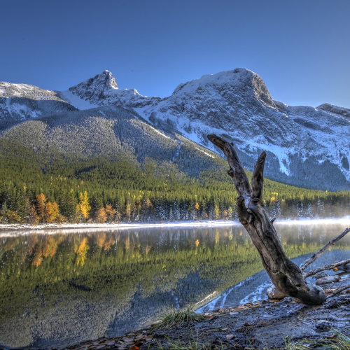 Wedge Pond