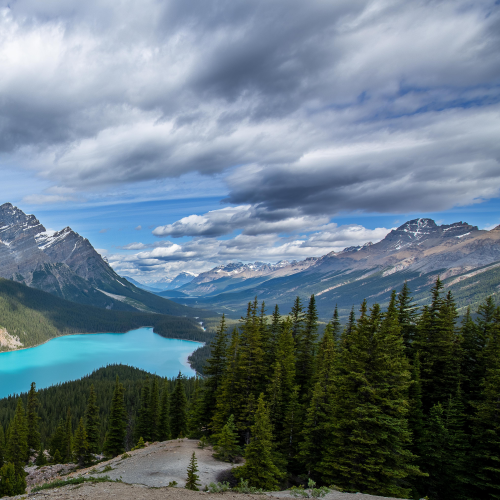 Bow Lake