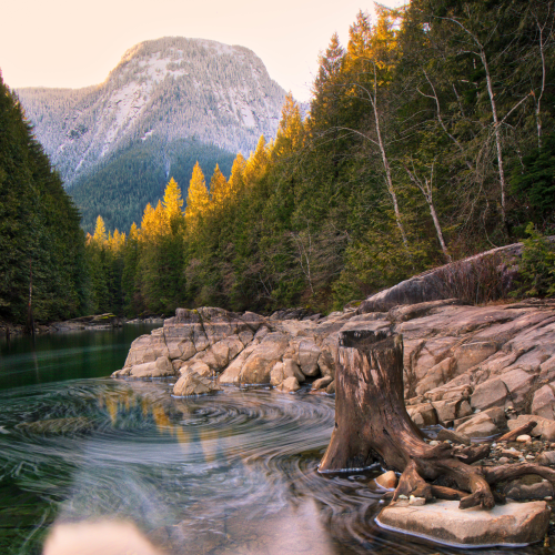 Soak in Nature