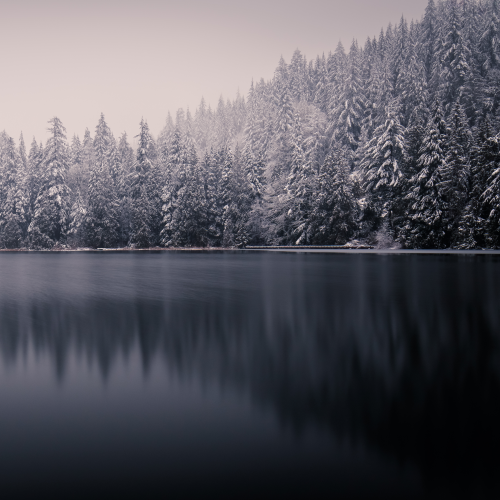 Reflecting on Nature