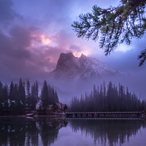 Foggy morning