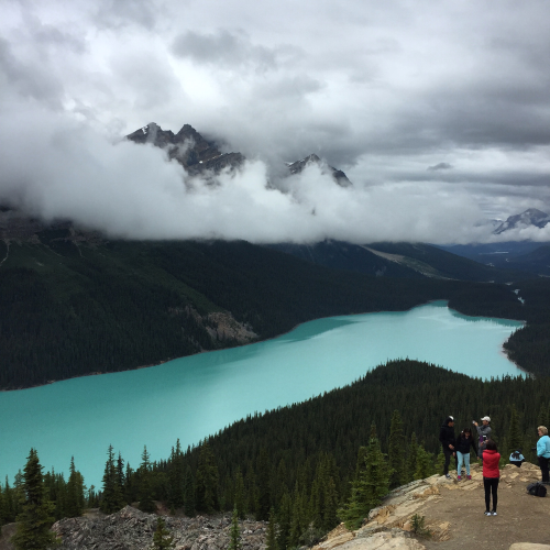 Pit stop at Peyto