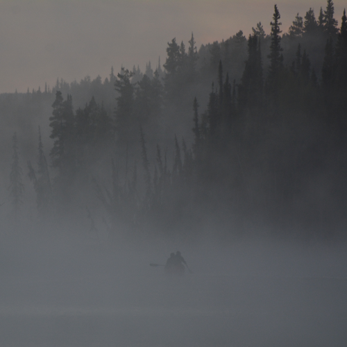 Paddling through the mist