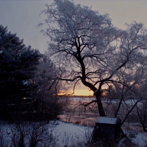 Winters Grip