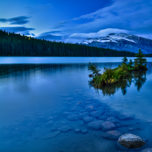 Blue morning