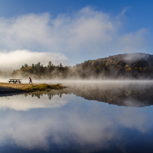 Foggy reflection 