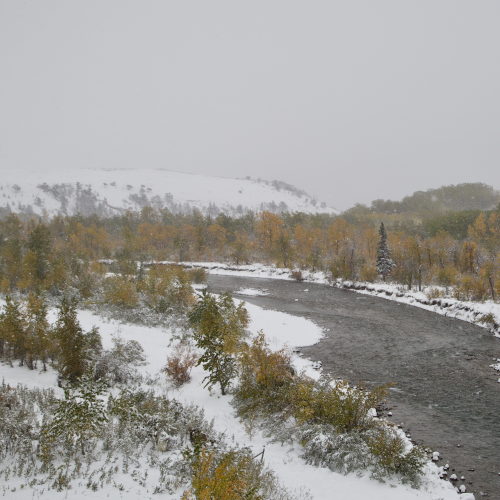 Belly River 