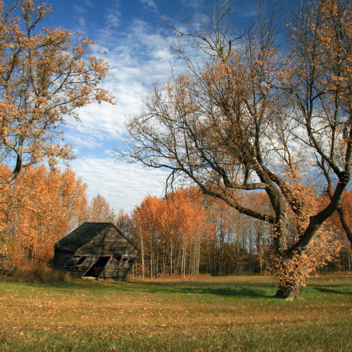 Old, Weathered and starting to give way to the Prairie Winds
