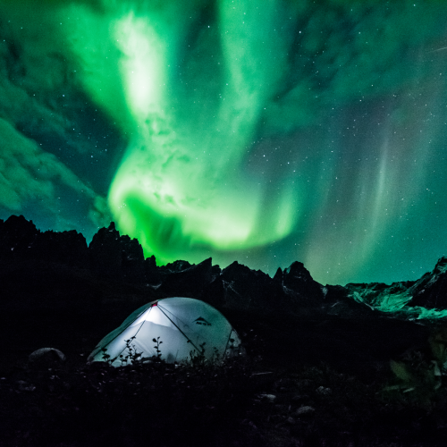 Yukon Nights