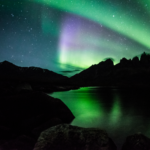 Aurora Rays
