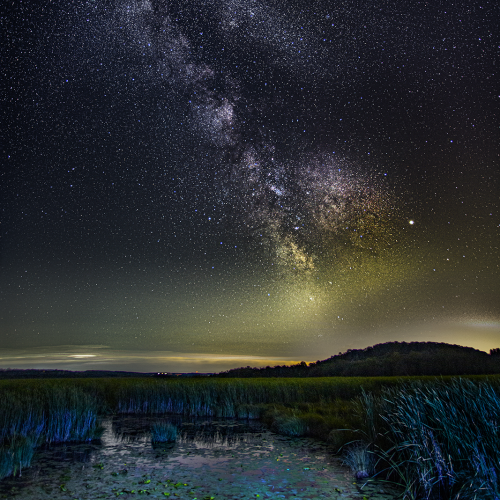 Marsh at Blue Mountain Rd, Scugog ON 