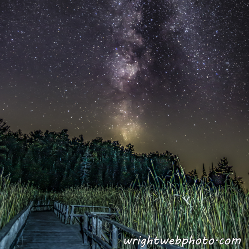 Boardwalk at Ken Reid Conservation Area. Kawartha Lakes ON