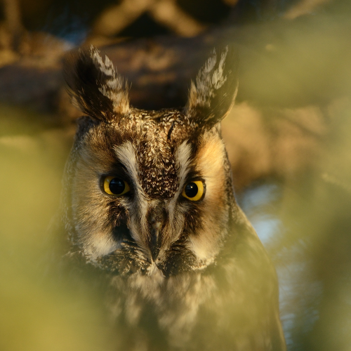 I am looking at you!