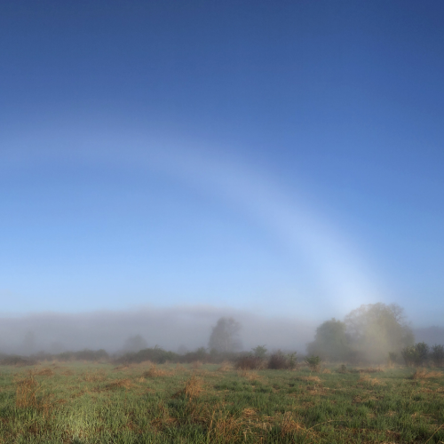 Fogbow