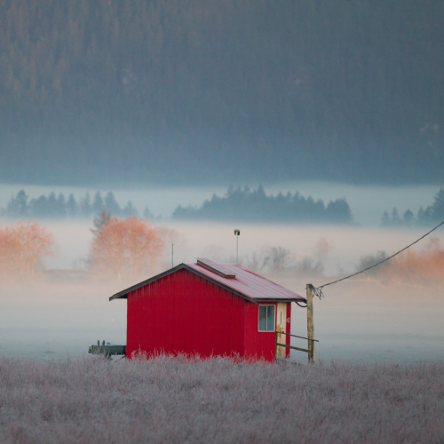 Foggy Morning