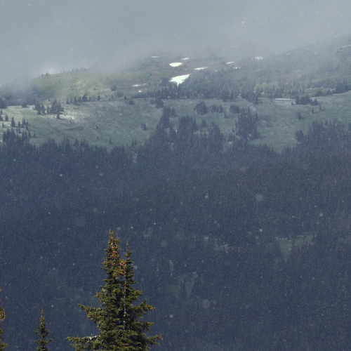 Snowing 