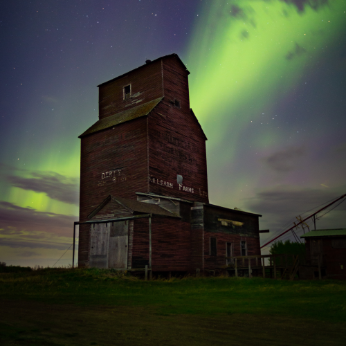 Prairie Sentinel