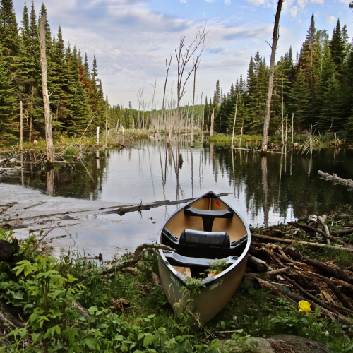 Exploring the remote wilderness