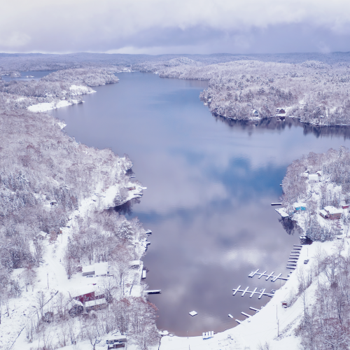 First Snow Drone