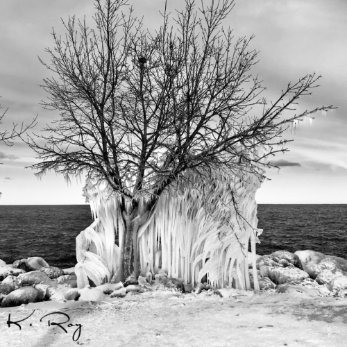 Frozen Beauty