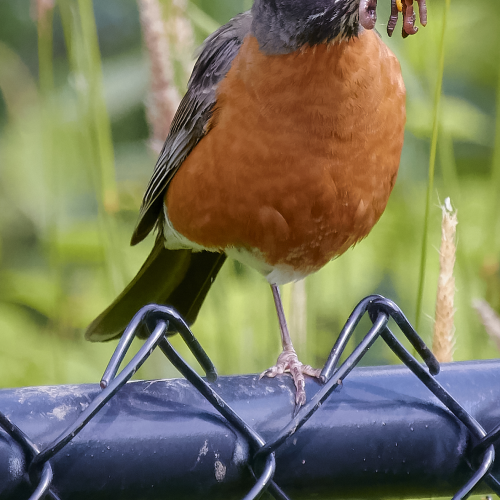 On leg stance